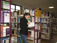 Eine Leserin in der Stadtbibliothek