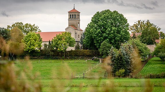 Eine idyllische ländliche Szene zeigt eine Kirche mit einem Turm, umgeben von grünen Bäumen und einem weitläufigen Wiesenfeld. Der Himmel ist bewölkt, und in der Nähe sind Hecken und weitere Pflanzen sichtbar. Die Atmosphäre ist ruhig und beschaulich.