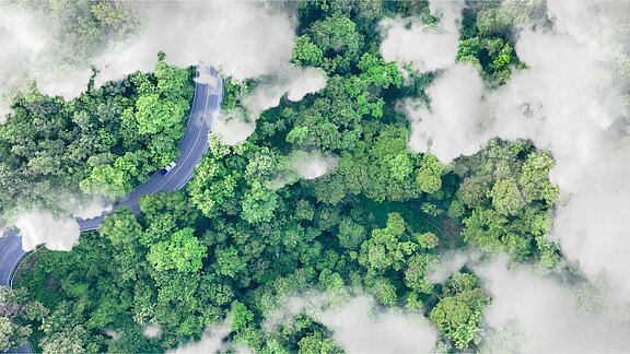 Luftbild eines grünen Waldes mit üppigem Baumdach und sanften, nebeligen Wolken. Eine kurvige Straße verläuft durch die Waldlandschaft, sichtbar auf der linken Bildseite. Die Farben sind lebendig und frisch, was eine ruhige, natürliche Umgebung vermittelt.